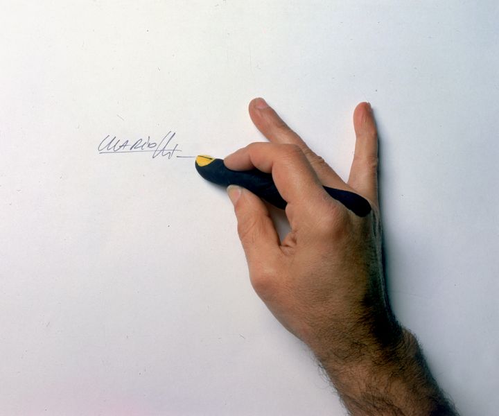 Immagine casuale dal repository della Casina di Raffaello